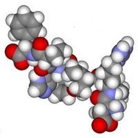 peptides sketch map