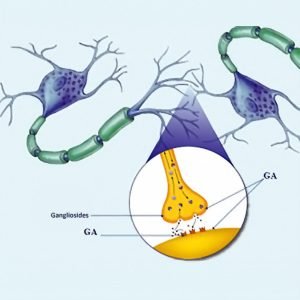 Gangliosides