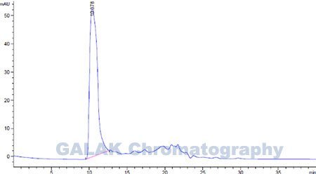 Chromatography gram for the elution liquid of Inactivated Pseudorabies Virus