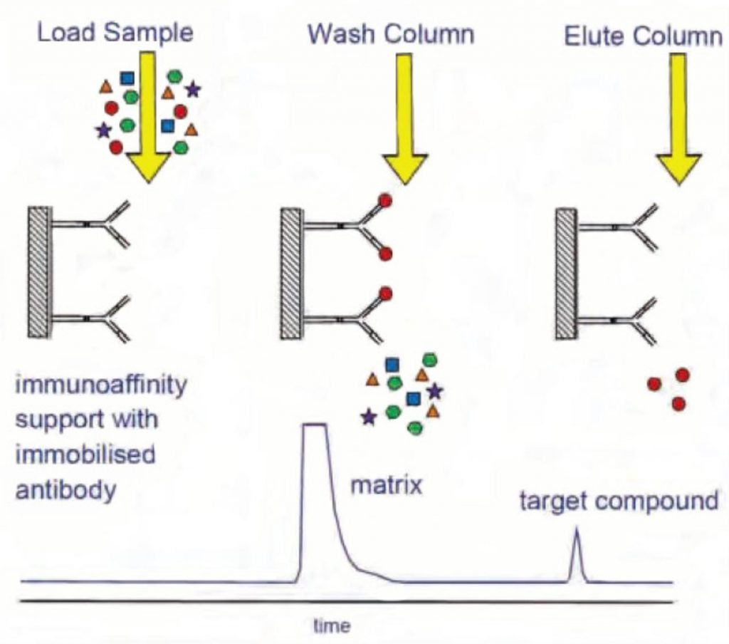 affinity chromatography phase principle